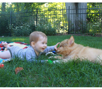 Editor-supplied companion image showing a child and puppy on grass.