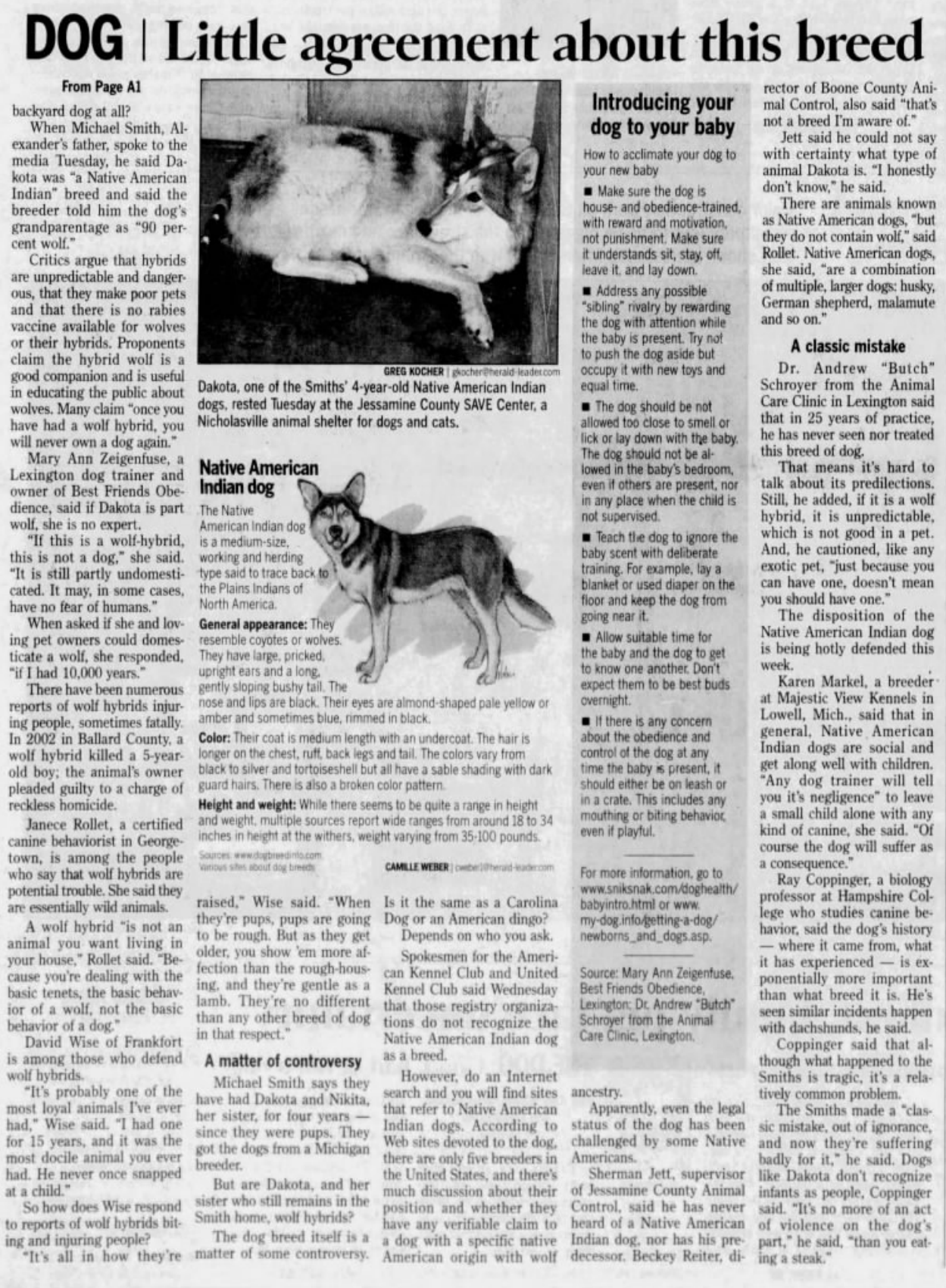 Newspaper continuation headed DOG: Little agreement about this breed, with a photograph of Dakota and competing views about identity and temperament.